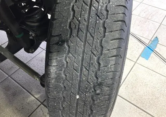 WhatsApp Image 2025-04-10 at 14.23.15 (1).webp