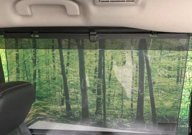 WhatsApp Image 2025-04-10 at 15.08.32 (1).webp