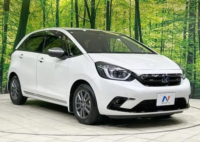 WhatsApp Image 2025-04-14 at 17.02.42 (1).webp