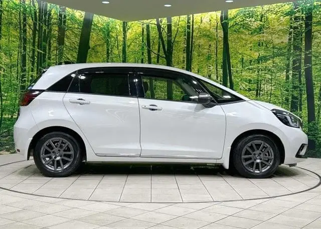 WhatsApp Image 2025-04-14 at 17.02.38 (2).webp