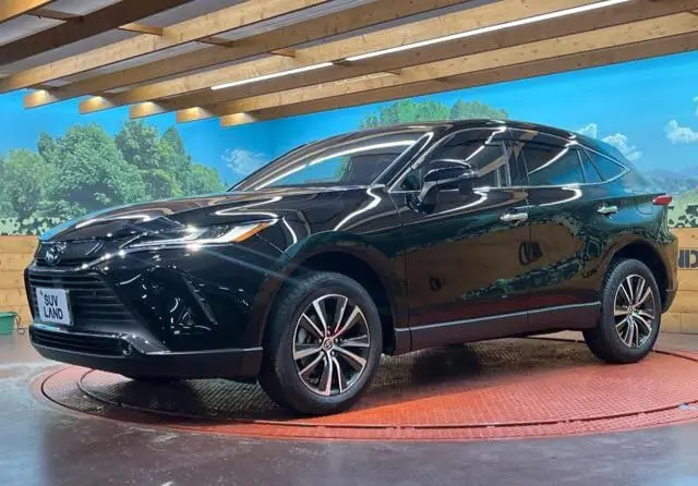 WhatsApp Image 2025-04-14 at 23.36.23 (1).webp