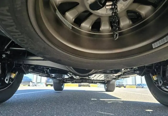 WhatsApp Image 2025-04-30 at 05.50.36 (1).webp