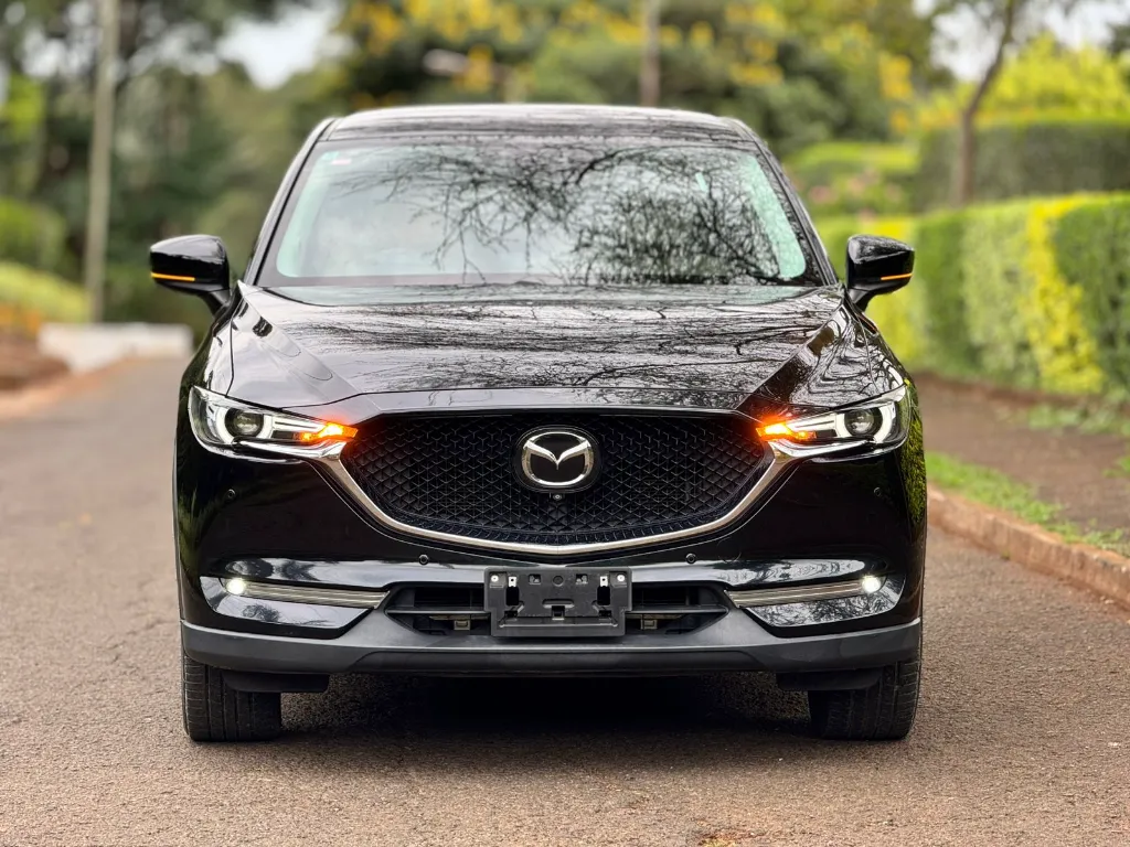 WhatsApp Image 2026-04-04 at 20.29.07 (2).webp