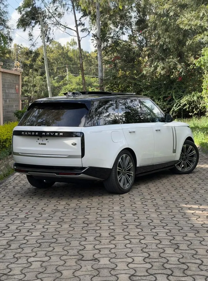 WhatsApp Image 2026-04-05 at 20.14.55 (2).webp