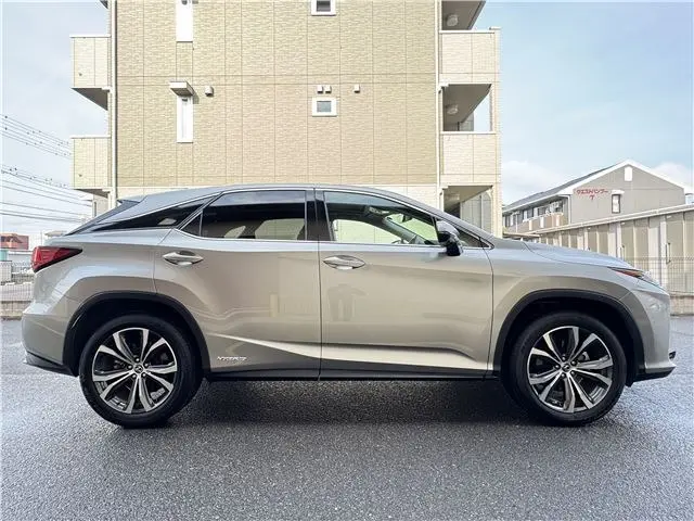 WhatsApp Image 2025-02-20 at 12.17.35 (1).webp