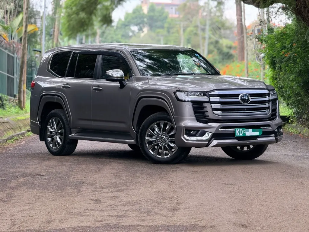 WhatsApp Image 2026-04-05 at 00.20.58.webp