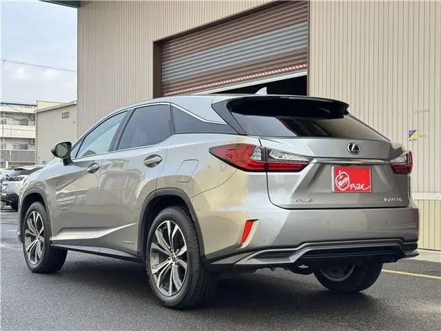 WhatsApp Image 2025-02-20 at 12.17.34 (1).webp