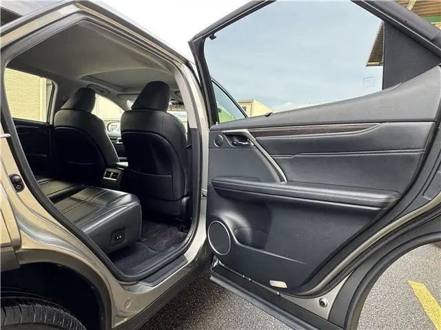 WhatsApp Image 2025-02-20 at 12.17.43 (1).webp