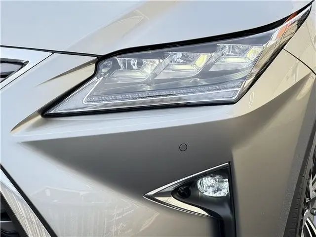 WhatsApp Image 2025-02-20 at 12.17.36 (1).webp