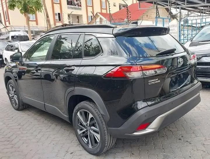 WhatsApp Image 2025-02-17 at 12.46.54 (1).webp