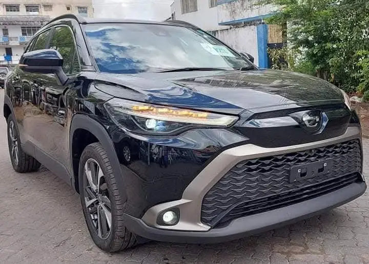 WhatsApp Image 2025-02-17 at 12.46.58 (1).webp