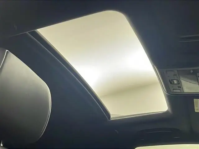 WhatsApp Image 2025-02-24 at 12.17.18 (1).webp