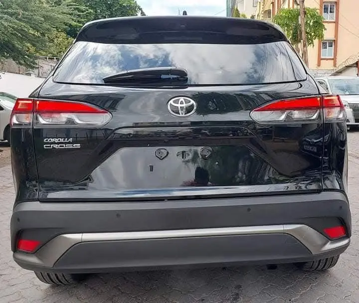 WhatsApp Image 2025-02-17 at 12.46.50 (1).webp