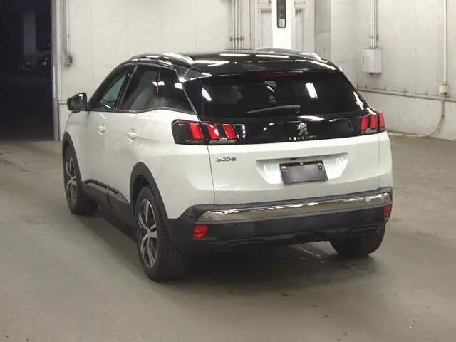 WhatsApp Image 2025-02-26 at 12.18.04 (1).webp