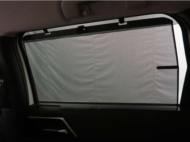 WhatsApp Image 2025-02-26 at 12.39.08 (1).webp