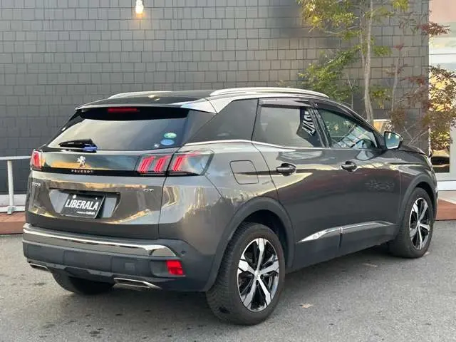 WhatsApp Image 2025-02-26 at 14.03.07 (1).webp