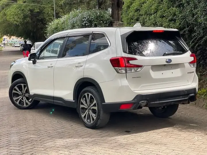 WhatsApp Image 2025-02-17 at 13.00.29 (1).webp