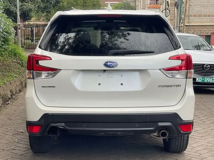 WhatsApp Image 2025-02-17 at 13.00.34 (1).webp