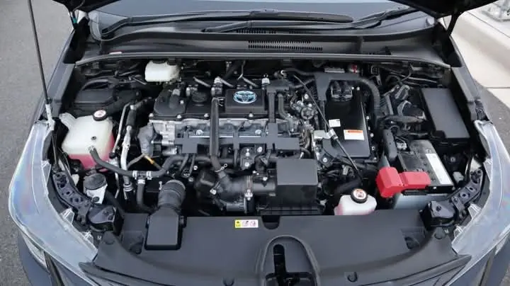 WhatsApp Image 2025-04-04 at 16.10.13 (1).webp