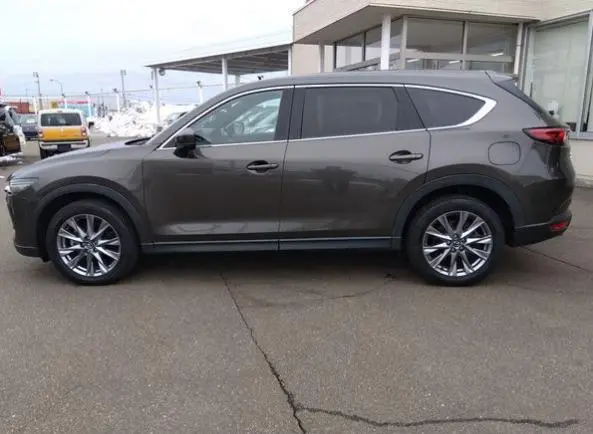 WhatsApp Image 2025-04-08 at 17.49.37 (1).webp