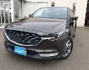 MAZDA CX-8 25S PRO ACTIVE